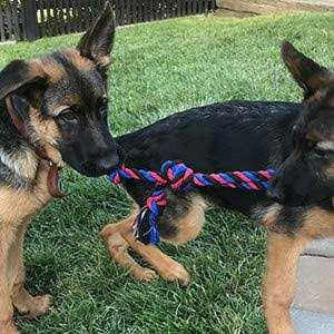 Ravenox Cotton Rope Twisted - Image 5