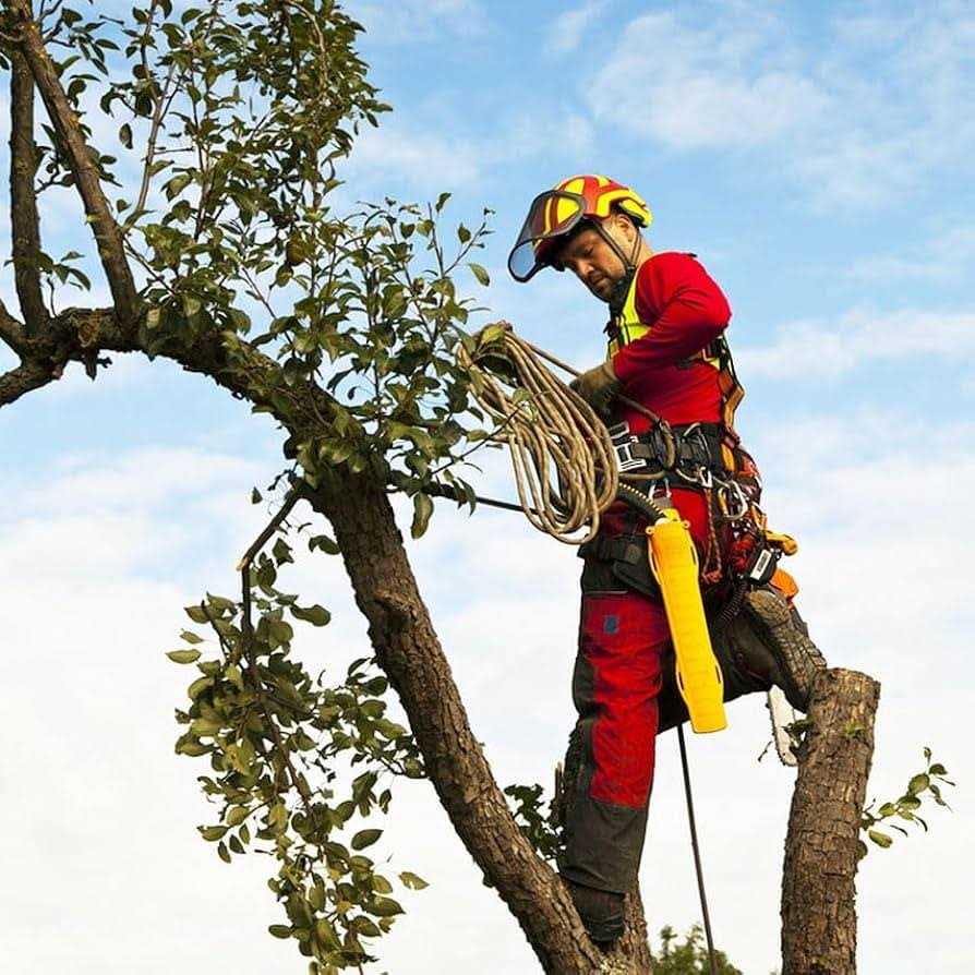 Double Braid Polyester Arborist Rigging Rope -1/2 inch x - Image 4