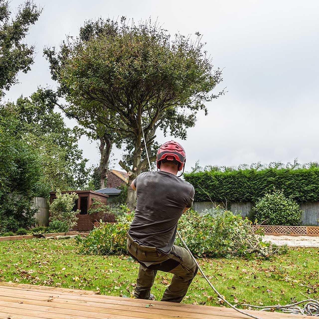 Double Braid Polyester Arborist Rigging Rope -1/2 inch x - Image 4