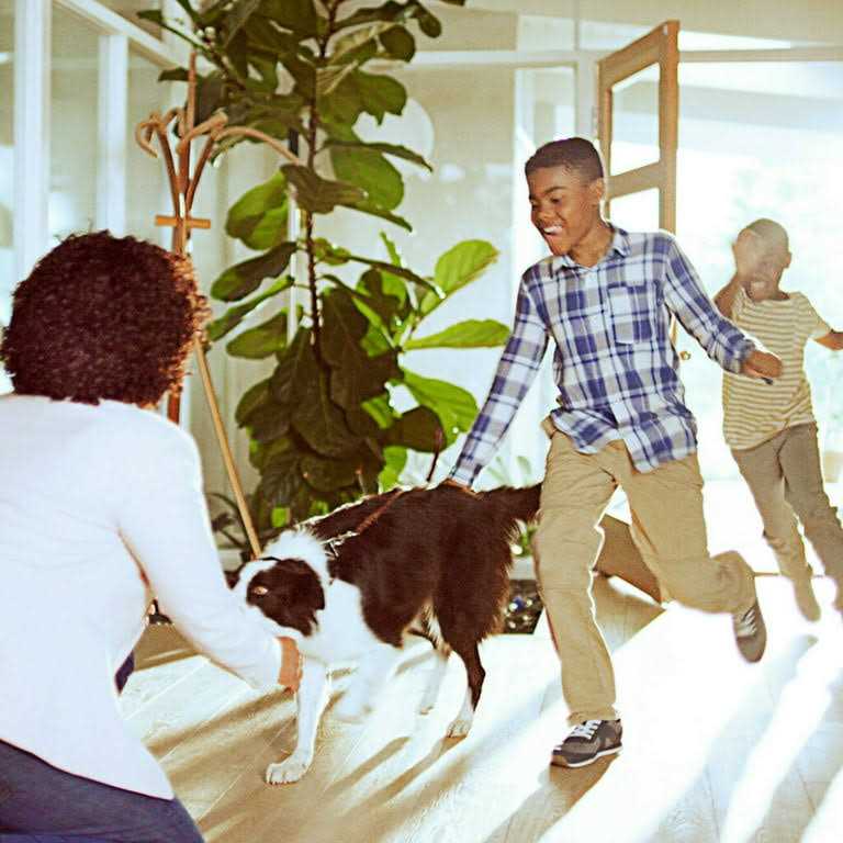 Filtrete 20x24x1 Air Filter MPR 300 Merv 5 Dust Reduction - Image 4