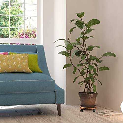 Yangbaga 2pack Plant Caddy 12''Wood Duty Rolling Plant Stand with 2 360° Lockable Caster Wheels,Indoor Outdoor on Roller Patio/Flower Pot/Succulent - Image 4