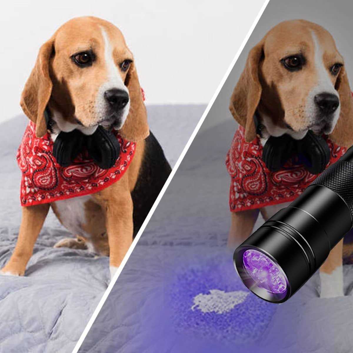 Beike UV Flashlight Black Light Small Portable Blacklight Flashlight UV Light - Image 5