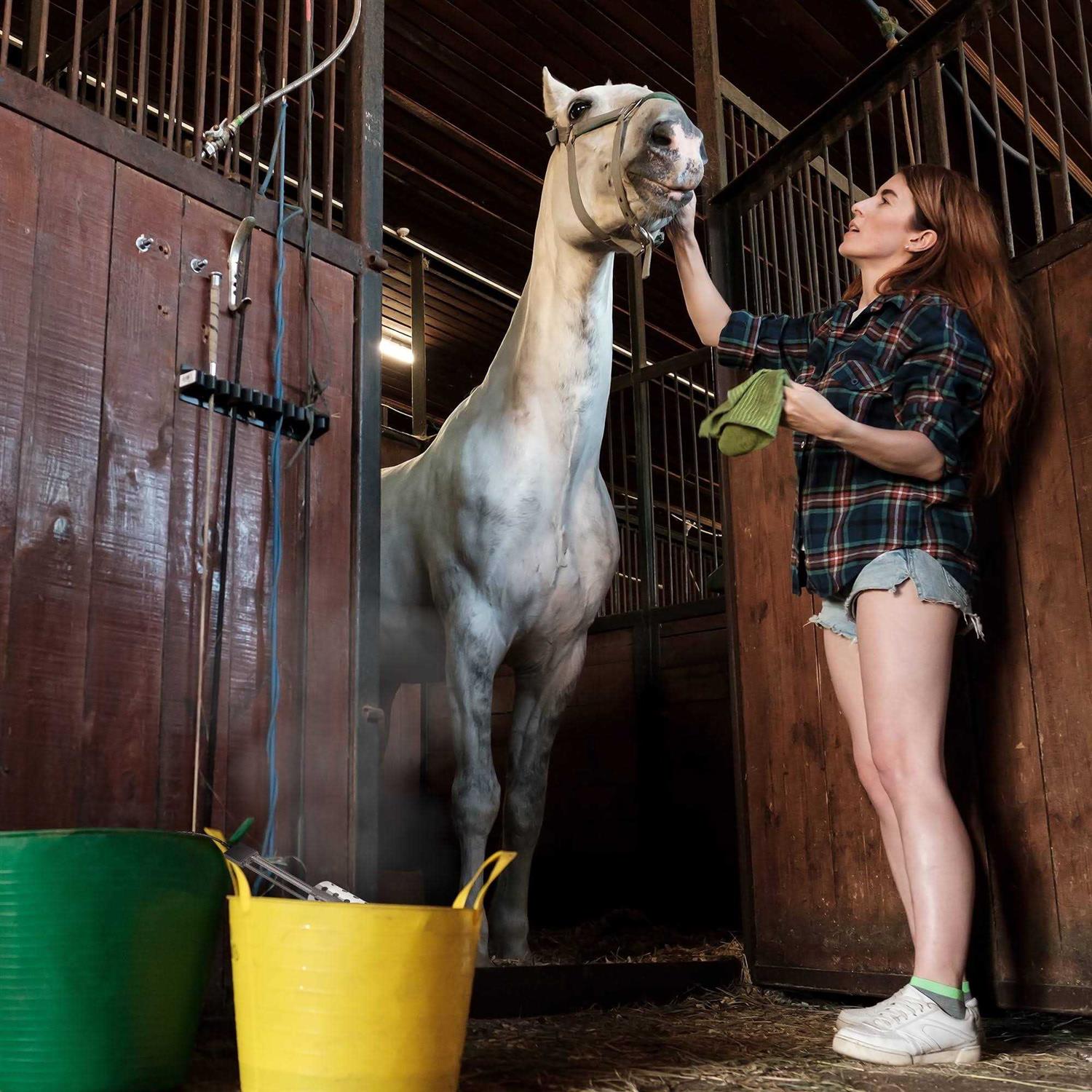 API Bucket Heater - Image 5