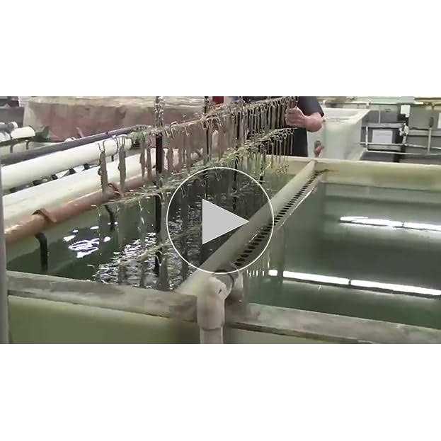 Malco M2006 Left Offset Aviation Snips - Image 3