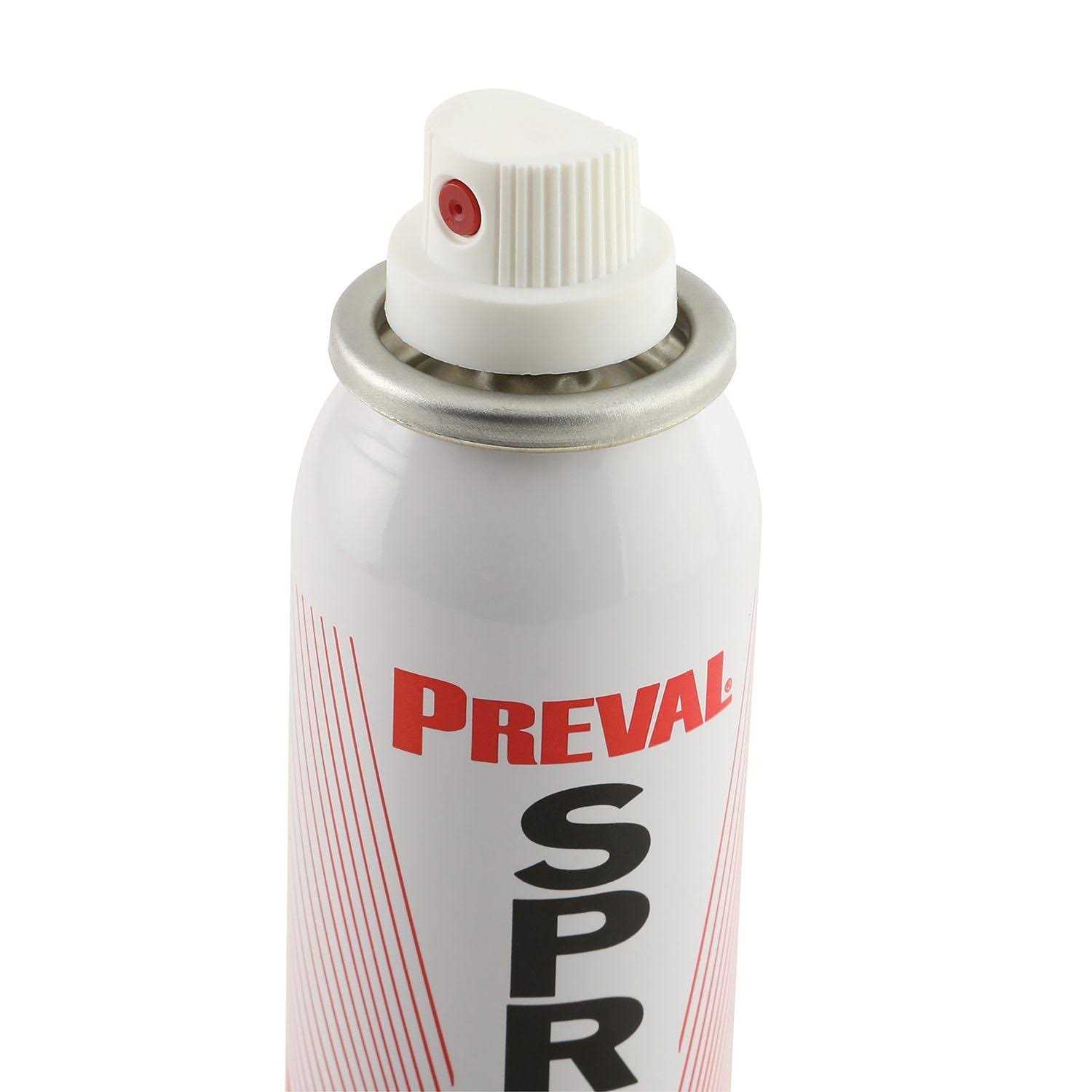 Preval 267 Complete Power Spray Gun - Image 4