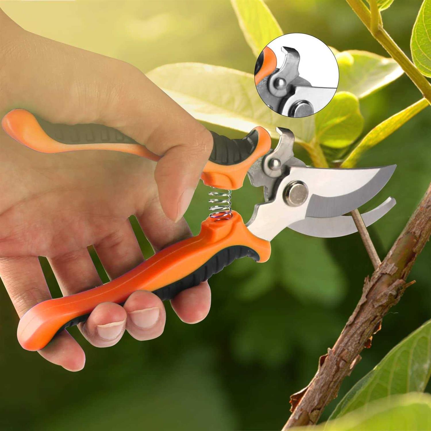 Taschyas Bonsai Tools Set 20 Pcs Gardening Succulent Tree Indoor Beginner Tool Kit - Image 3