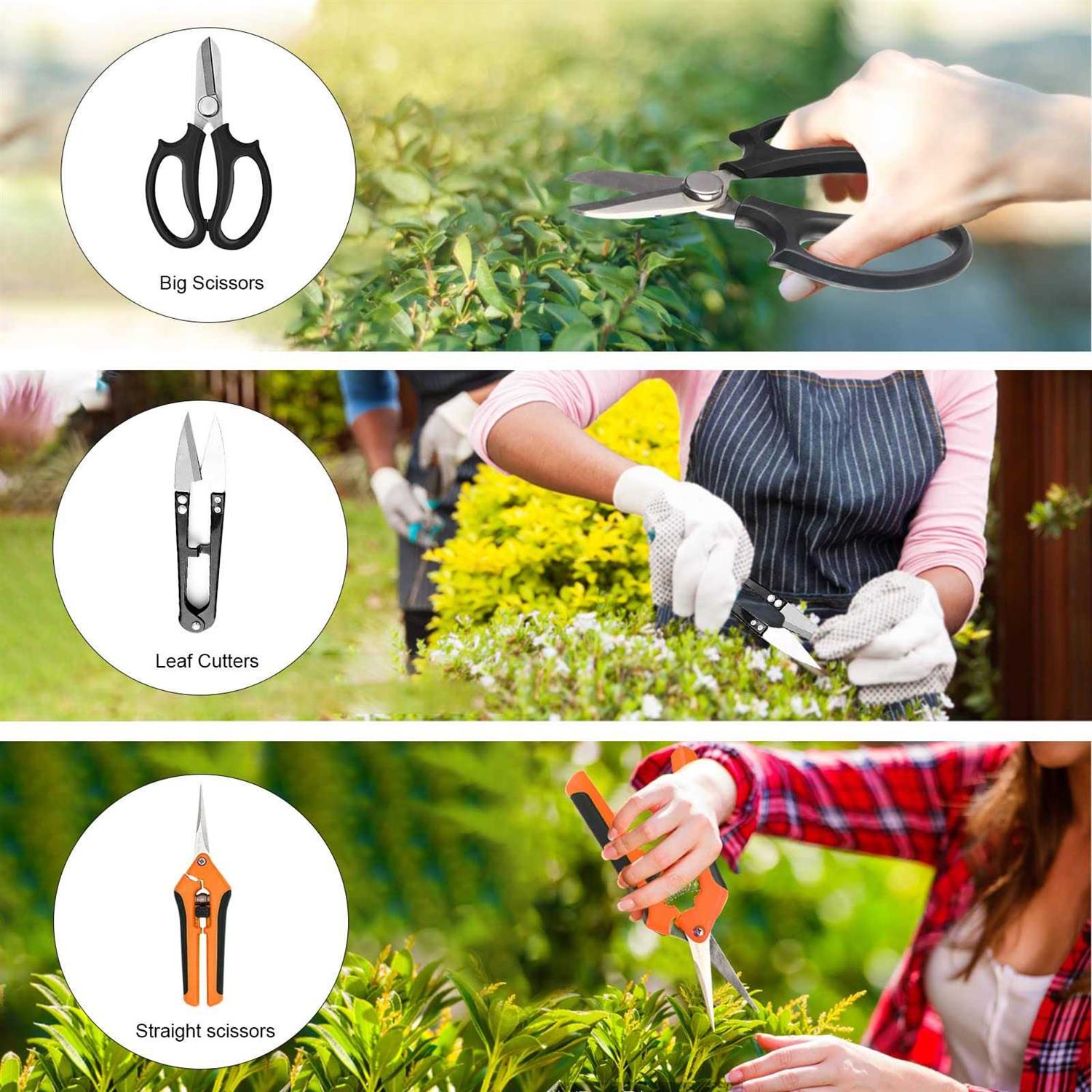 Taschyas Bonsai Tools Set 20 Pcs Gardening Succulent Tree Indoor Beginner Tool Kit - Image 4