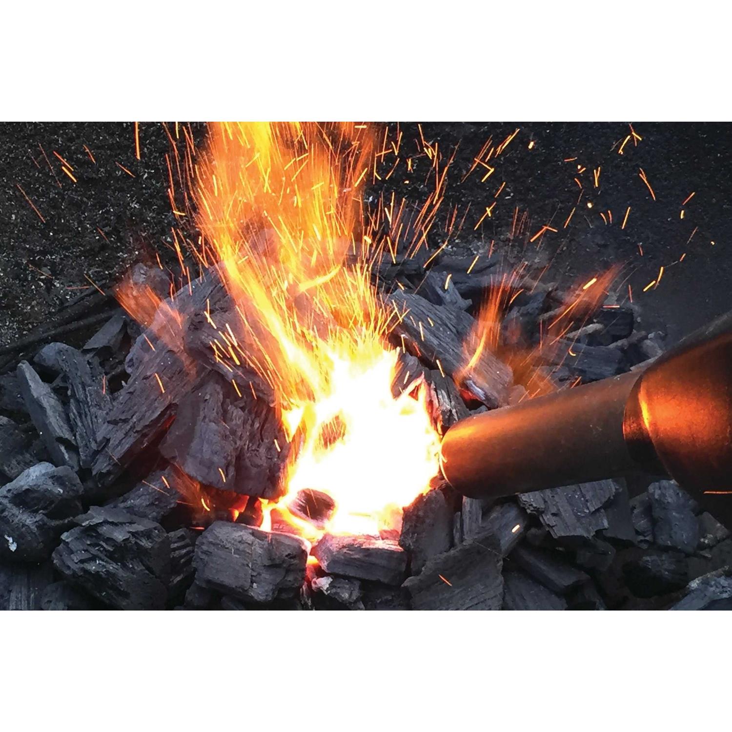 Bison Airlighter - Image 5