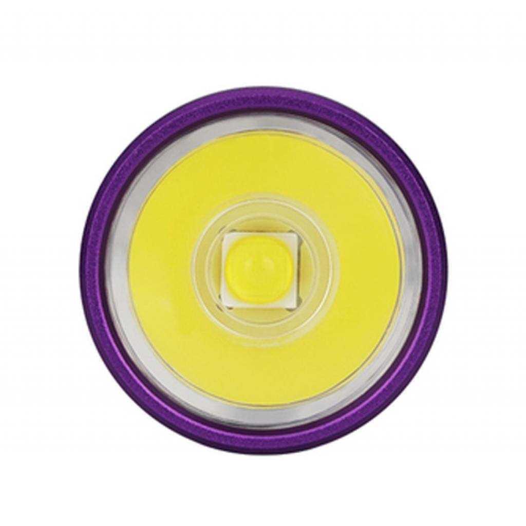 Olight i5T EOS 300 Flashlight - Image 5