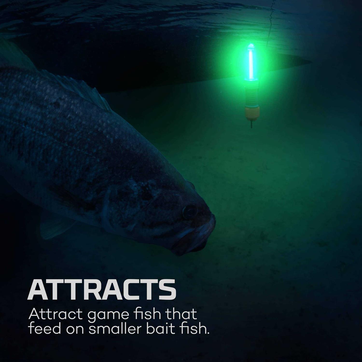 Nebo Submerser Fishing Light - Image 4