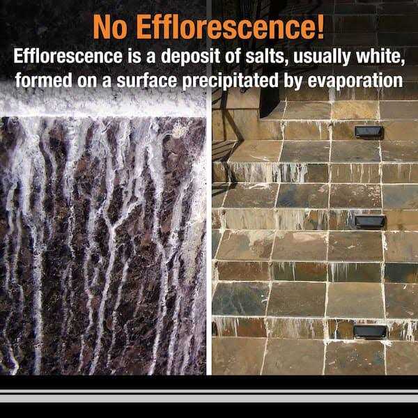 Fusion Pro 1-gal Single Component Grout - Image 5