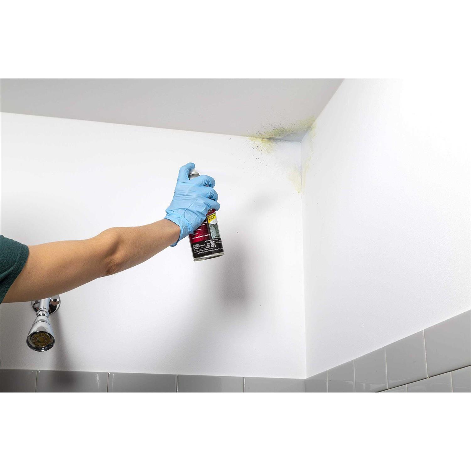 Zinsser Mold Blocking Primer - Image 4