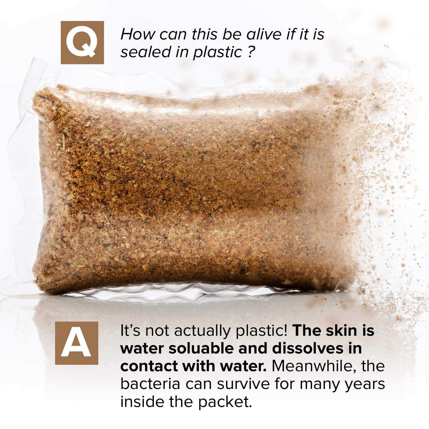 Septic Tank Treatment 1 Year Supply of Dissolvable Easy Flush Live Bacteria Packets - Image 5