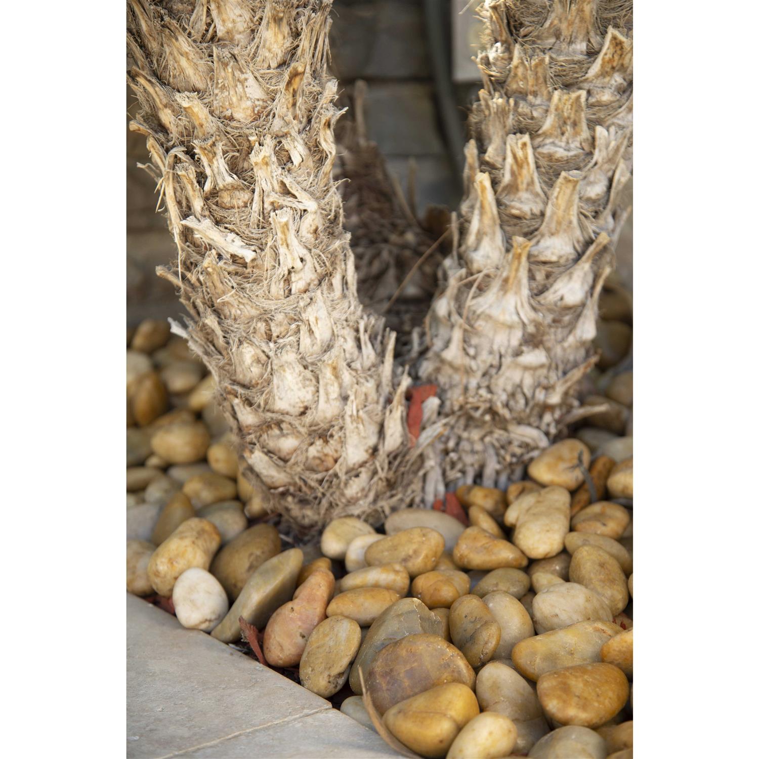 MSI Polished 0.5 cu. ft. per Bag Bagged Landscape Rock - Image 5