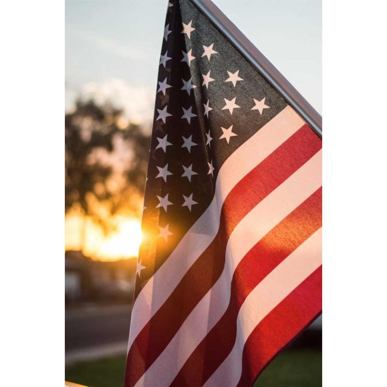 Fluid Film AS 11 Lubricant/Corrosion Inhibitor - Image 3