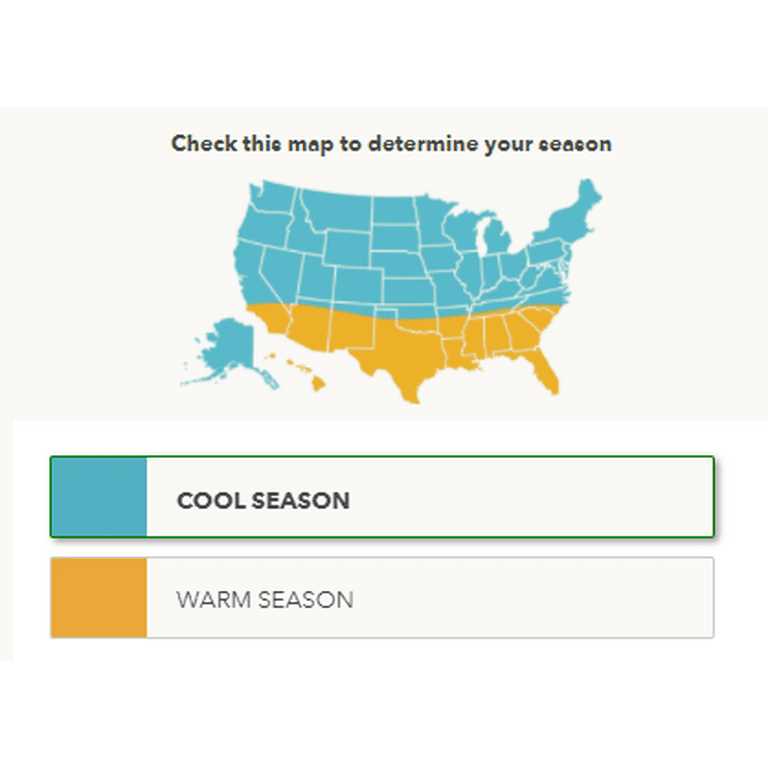 Patchtrax Season Blend Dog Spot Repair Strip - Image 5