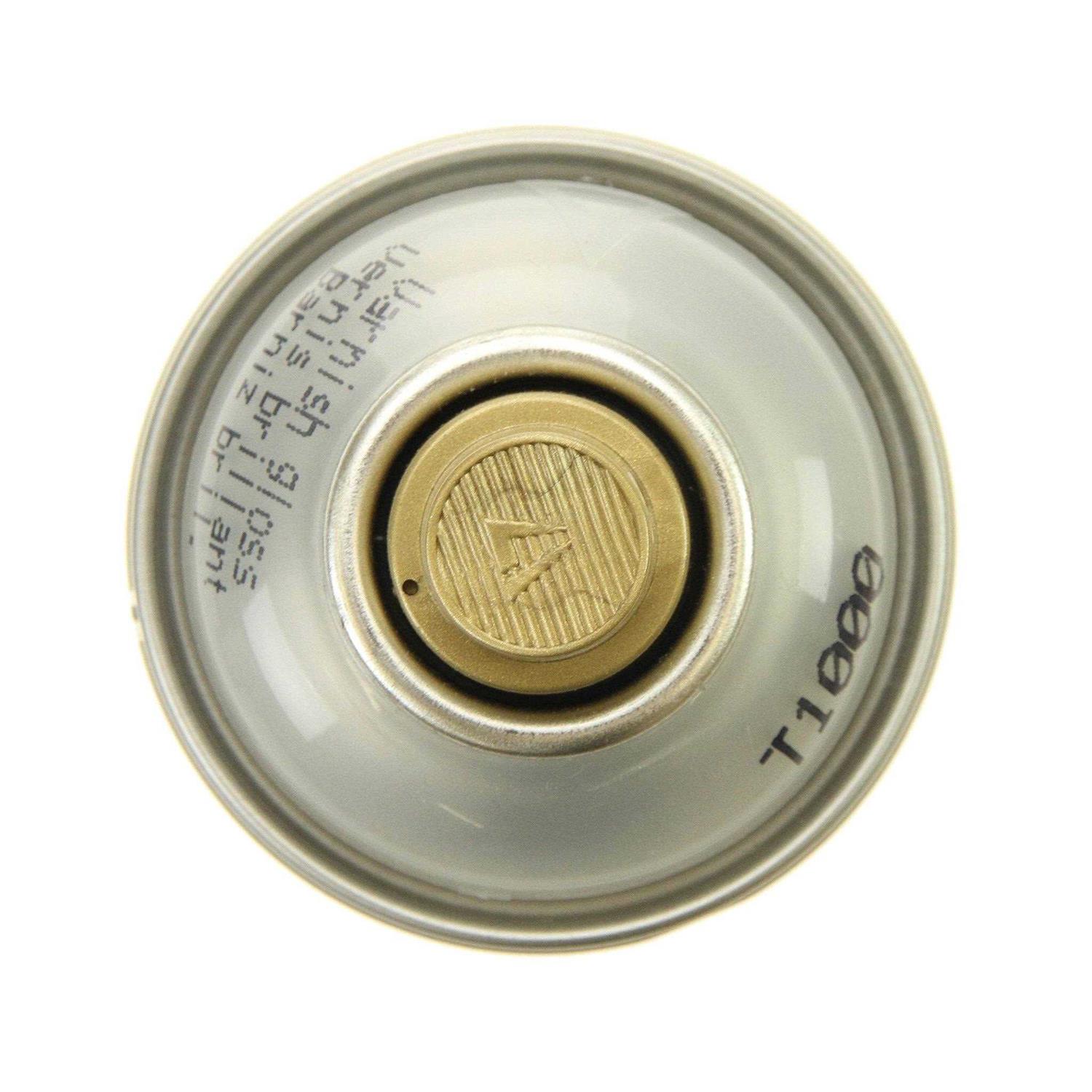 Montana Tech Varnish Spray