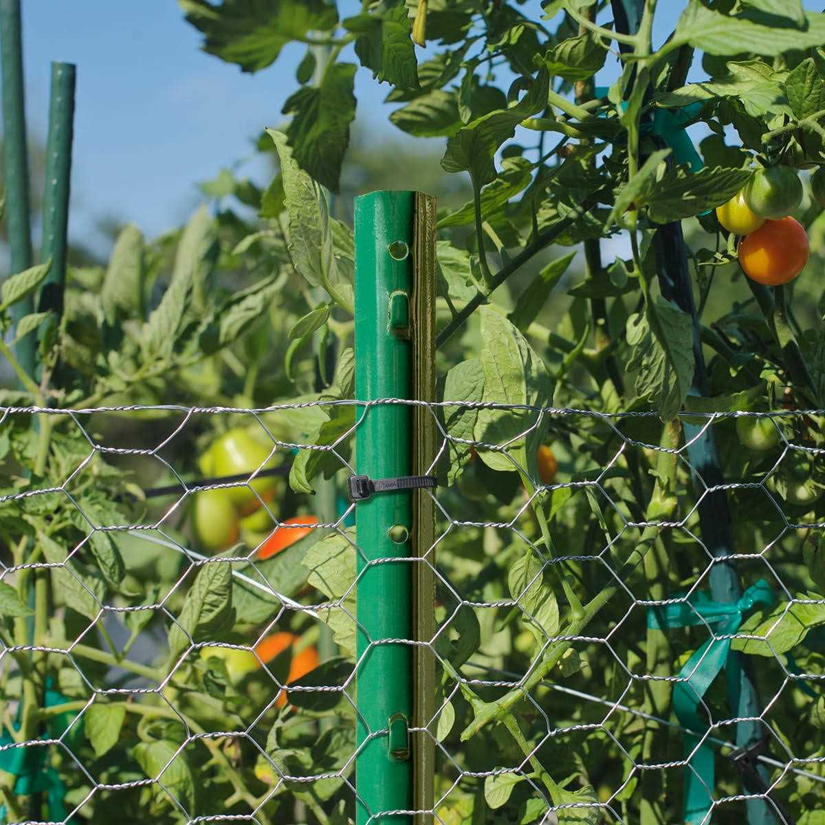 Garden Craft Light Duty Fence Post - Image 4