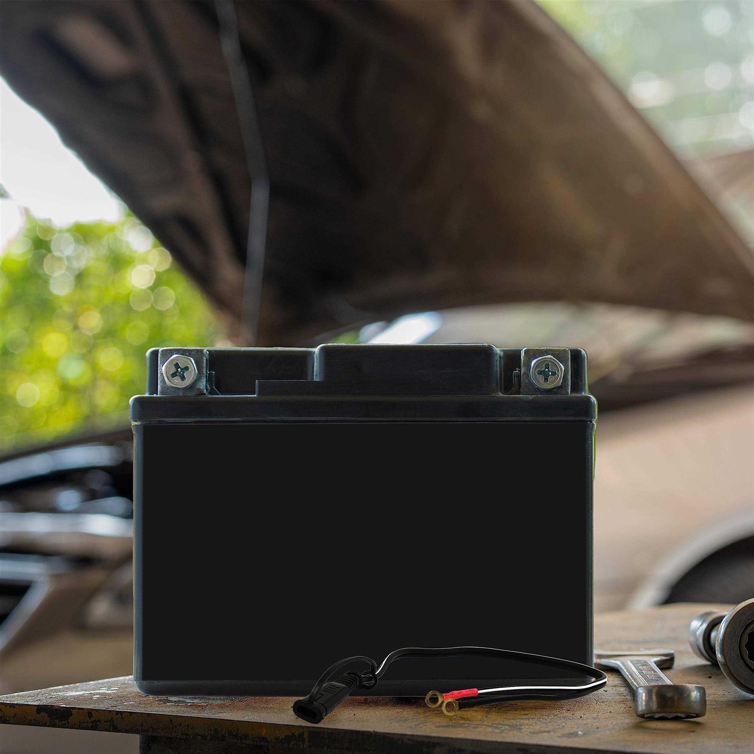 Schumacher WM-12 Battery Charging Cable - Image 2