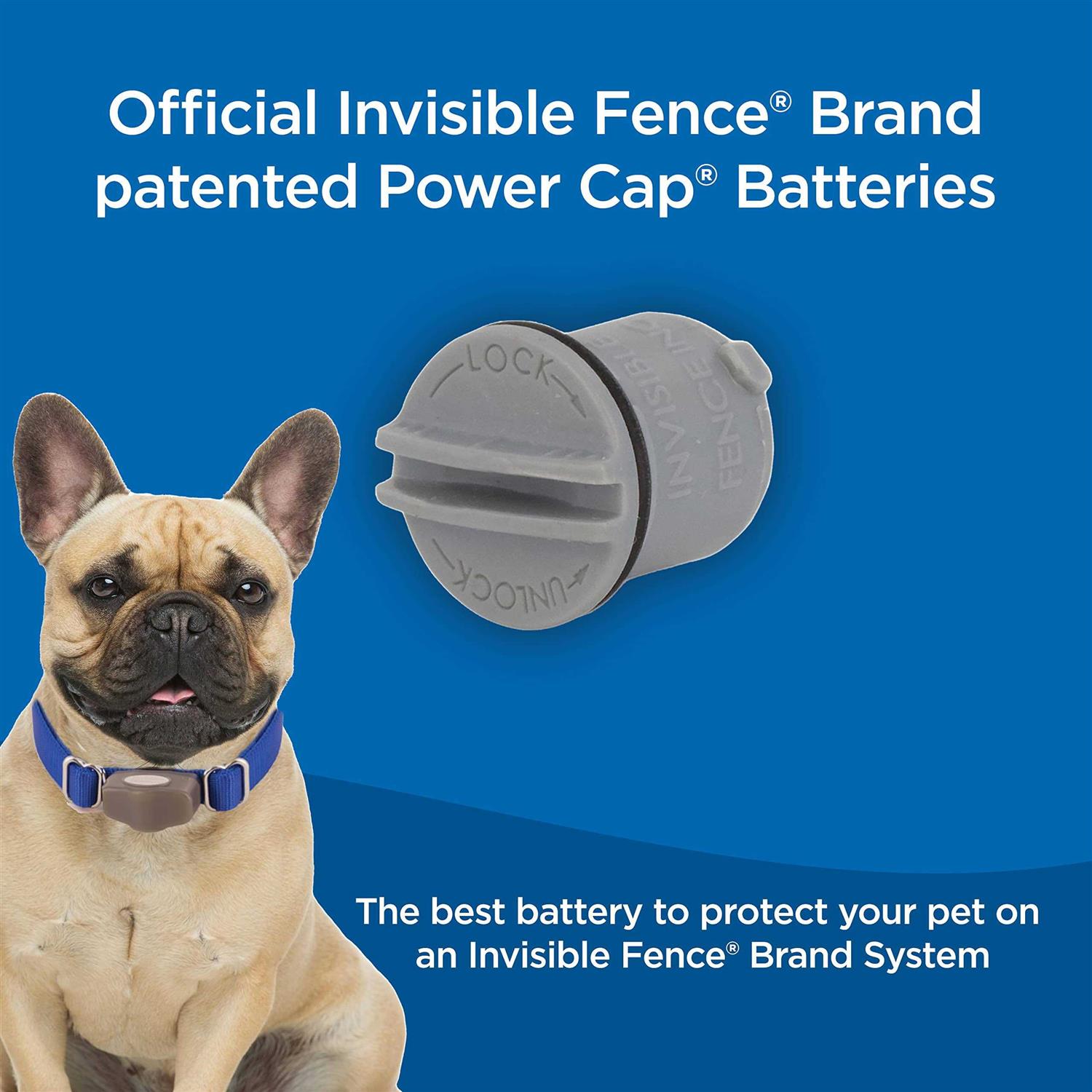 Invisible Fence BRAND Power Cap Battery for MicroLite and MicroLite Plus Computer Collar Units - Image 5