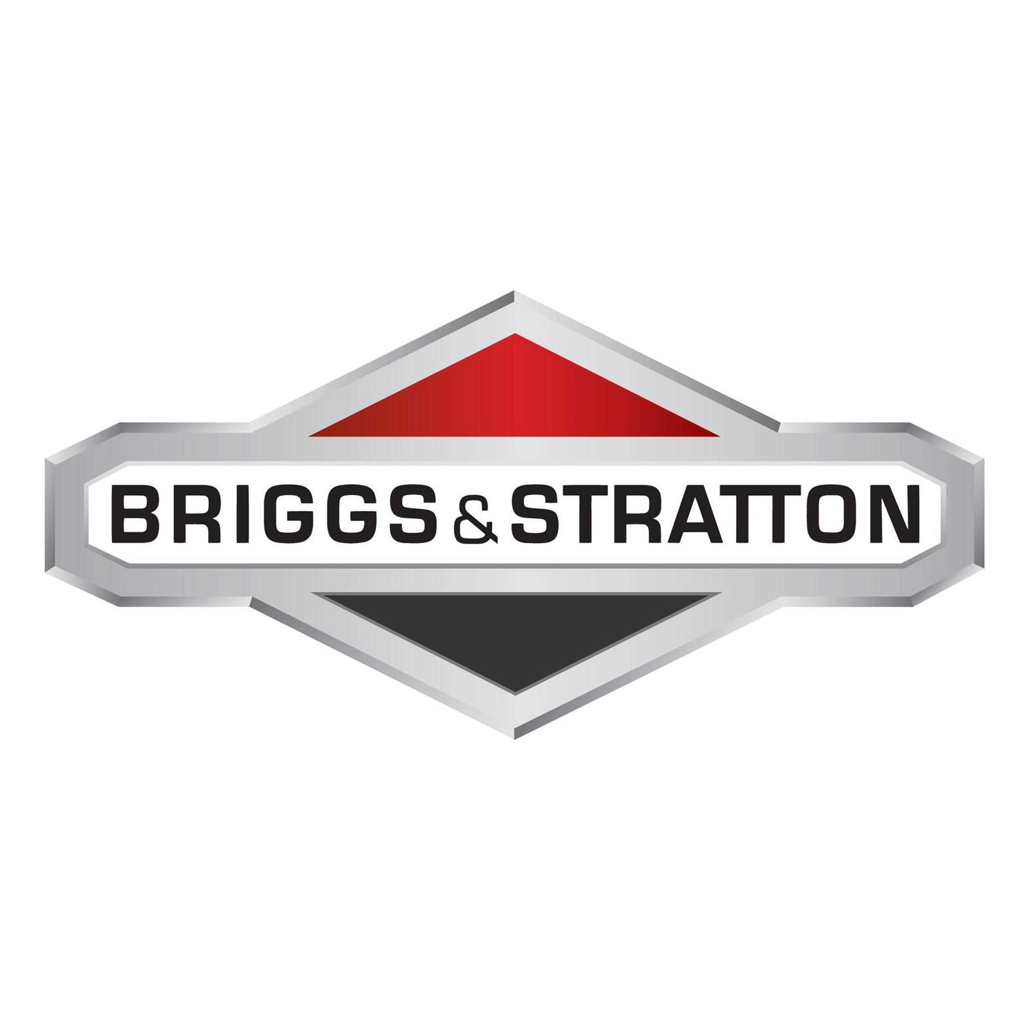 Briggs & Stratton 708703 Motor