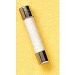 Mersen GSA10 Fuse 10A - Image 2