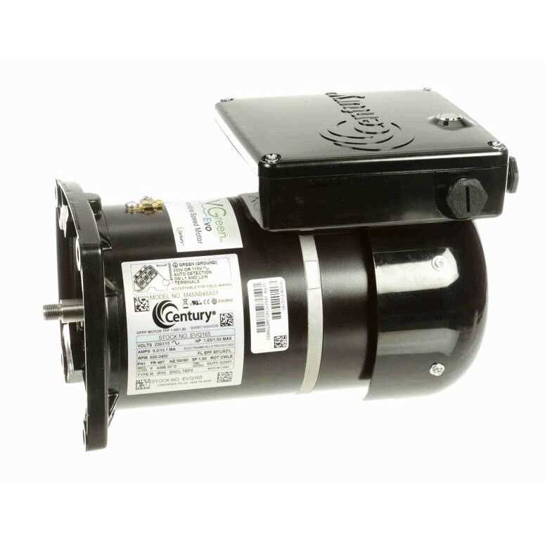 Pentair Motor 355024S - Image 4