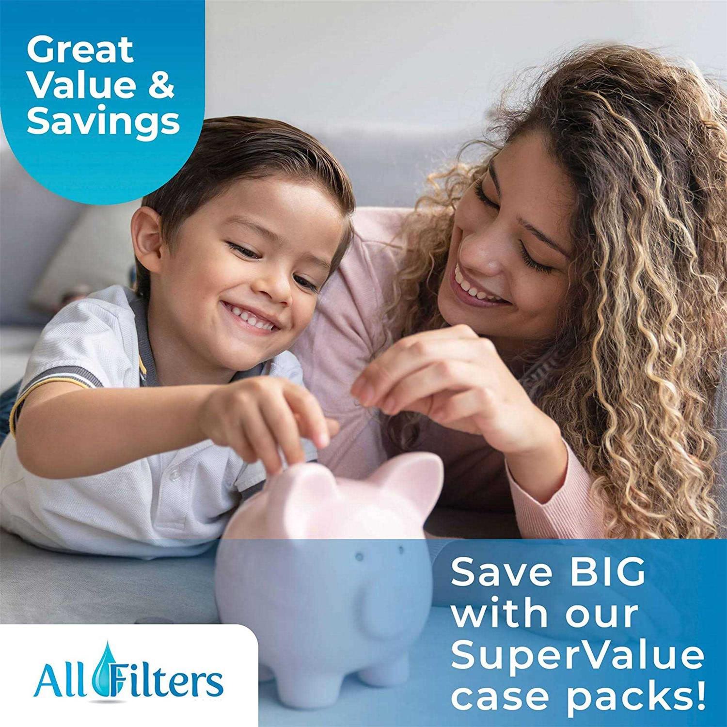 SpiroPure 20 x 4.5 Dual Gradient Polypropylene Water Filter - Image 2