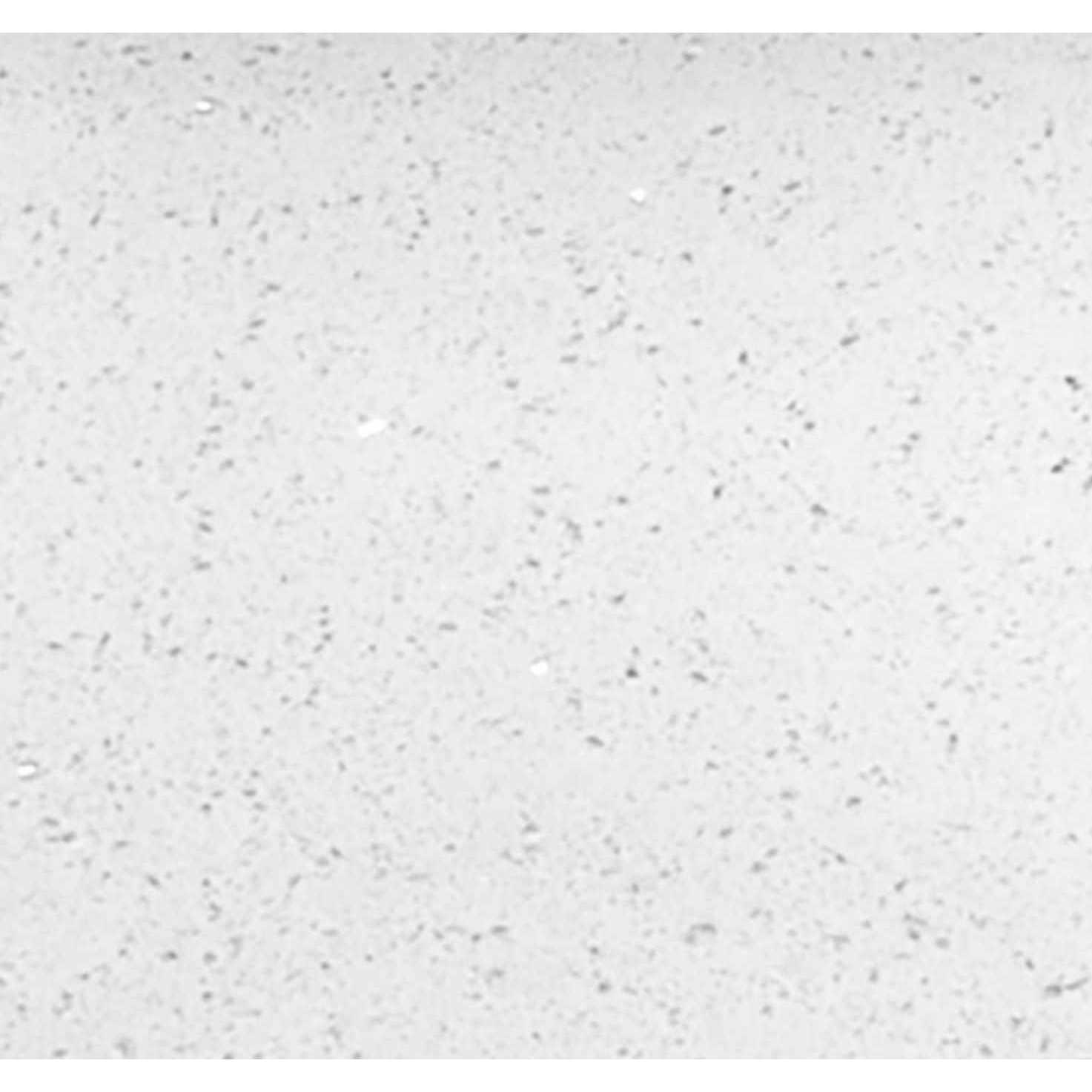 Single Bathroom Vanity Top with Sink Winette Top Finish - Image 4